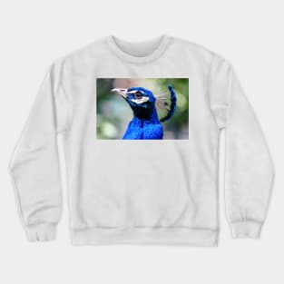 101017 peacock Crewneck Sweatshirt